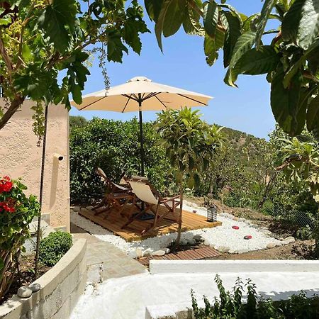 The Garden House, Sitia Apartamento Exterior foto